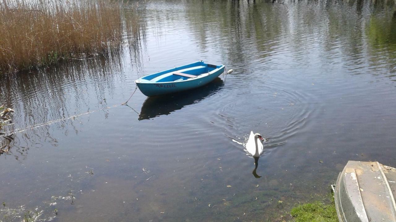 Una Finestra Sul Lago..Appartamento 韦尔巴尼亚 外观 照片